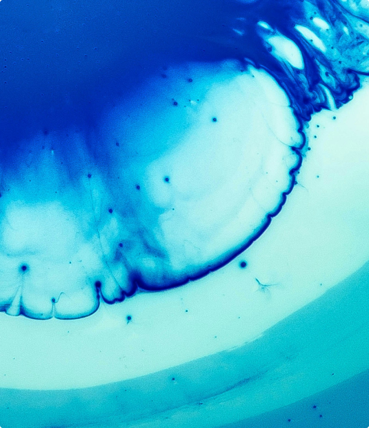 Blue splotch
